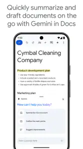 Google Docs screenshot