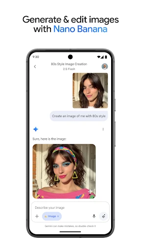 Google Gemini screenshot