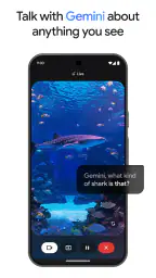 Google Gemini screenshot