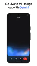 Google Gemini screenshot