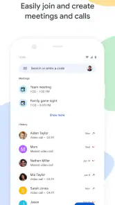 Google Meet screenshot