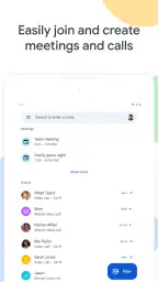 Google Meet screenshot