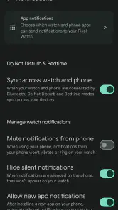 Google Pixel Watch screenshot