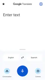 Google Translate screenshot