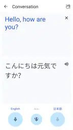 Google Translate screenshot