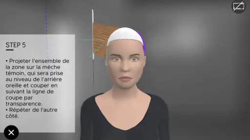 Hairteach screenshot