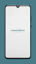 Hawaiian Bros screenshot