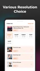 HD Video Downloader screenshot