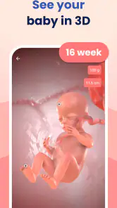 HiMommy: Pregnancy Tracker screenshot