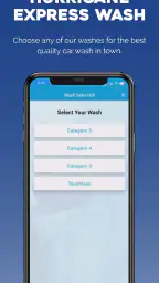 Hurricane Express Wash screenshot