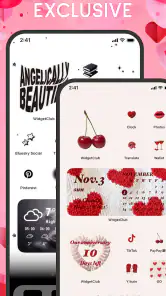 WidgetClub:Widget, Theme, Icon screenshot