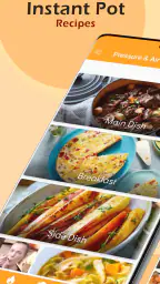 Instant Pot/Air Fryer Recipes screenshot