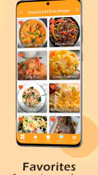 Instant Pot/Air Fryer Recipes screenshot
