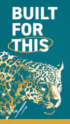 Jacksonville Jaguars screenshot