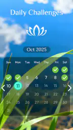 Jigmatch - Solitaire Puzzle screenshot