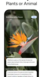 Lens AI & Reverse Image Search screenshot