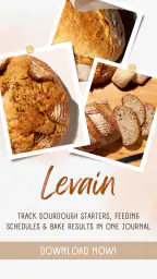 Levain screenshot