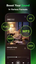 Lilt - Offline Music Player screenshot