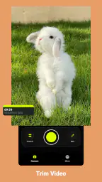 Lite Stamper screenshot
