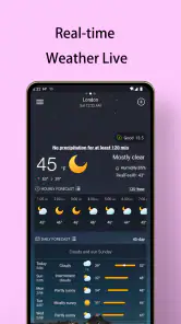 Local Weather Forecast - Radar screenshot