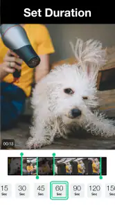 Magisto - Video Editor & Music screenshot