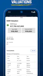 Manheim screenshot