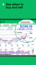MarketSurge screenshot
