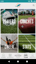 Miami Dolphins screenshot