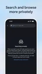 Microsoft Bing Search screenshot