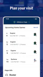 MiLB screenshot