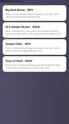 MNet Player screenshot