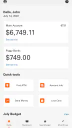 Money Network® Mobile App screenshot