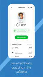 MSB Parent, USA screenshot