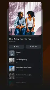 Musivibe - Enjoy Various Music screenshot