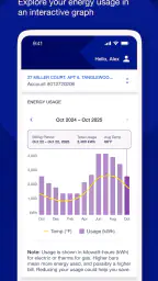 National Grid screenshot