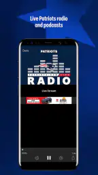 New England Patriots screenshot