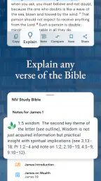 NIV Bible screenshot