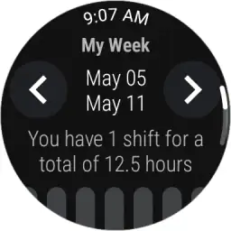 NurseGrid: Nursing Calendar screenshot