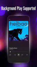 Offline Player: Local Music screenshot
