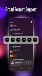 Offline Player: Local Music screenshot
