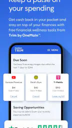 OneMain Financial screenshot