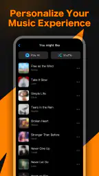 Online Offline Music Player screenshot
