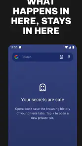 Opera: Private Web Browser screenshot