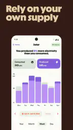 Palmetto screenshot