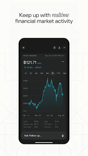 Perplexity - Ask Anything screenshot