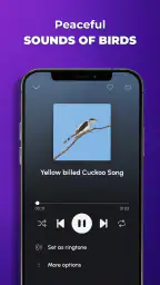 Phone Ringtones screenshot