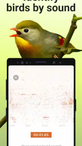 Picture Bird - Bird Identifier screenshot