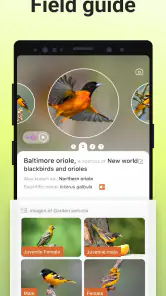 Picture Bird - Bird Identifier screenshot