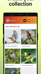 Picture Bird - Bird Identifier screenshot