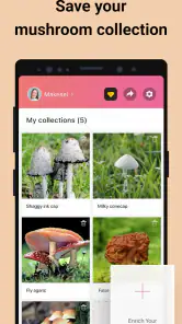 Picture Mushroom - Mushroom ID screenshot